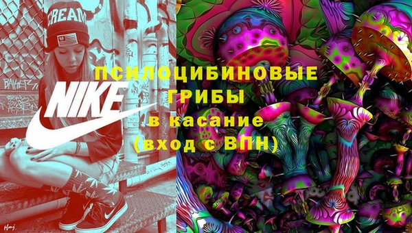 ГАЛЛЮЦИНОГЕННЫЕ ГРИБЫ Армянск