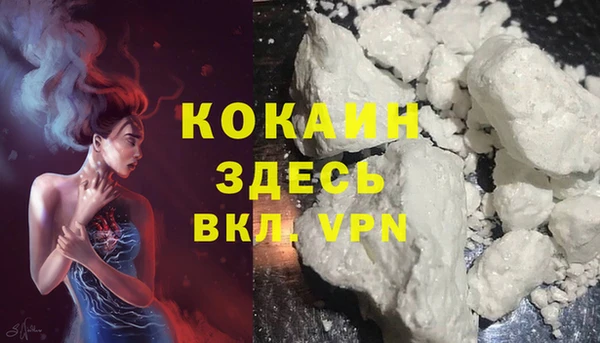 дмт Протвино