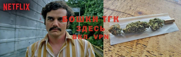 ГАЛЛЮЦИНОГЕННЫЕ ГРИБЫ Армянск